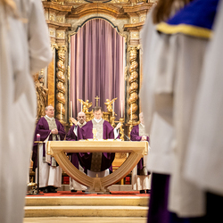 Bischofsprimizmesse Perchtholdsdorf / Erzdiözese Wien/Schönlaub