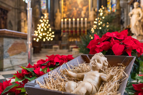 Weihnachtskkrippe mit Jesuskind im Stephansdom / Erzdiözese Wien/Stephan Schönlaub, Stephan Schoenlaub Weihnachtskkrippe mit Jesuskind im Stephansdom