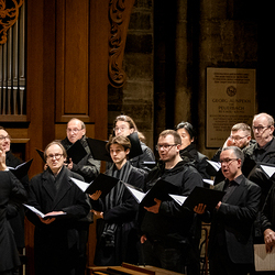 2026 Aschermittwoch / Erzdiözese Wien/Schönlaub