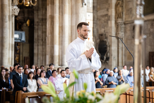 Priesterweihe 2026 / Erzdiözese Wien/ Schönlaub, Stephan Schönlaub