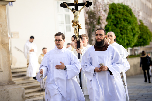 Priesterweihe Ambruster / Erzdiözese Wien/Schönlaub