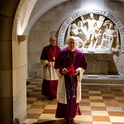 Erzdiözese Wien/ Schönlaub, Stephan Schönlaub